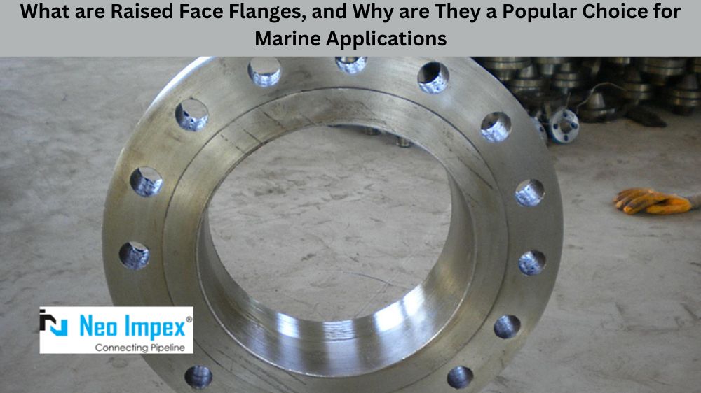 Raised Face Flanges