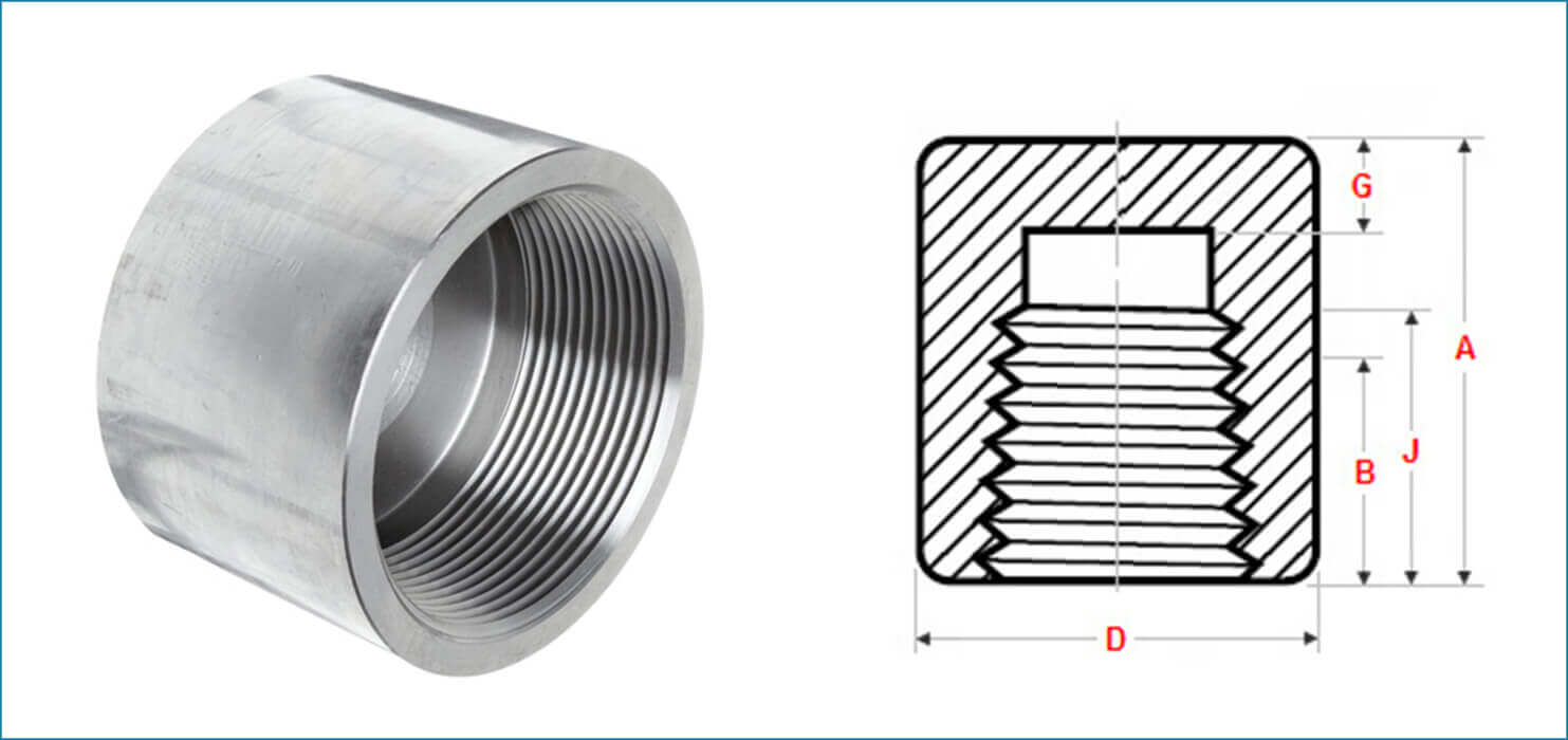 Threaded Pipe Cap, SS Threaded Pipe Cap, Forged Screwed Pipe Cap